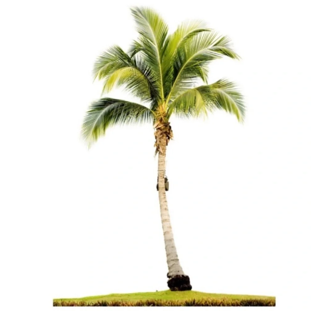 Luau Costume Set Grass Skirt Tropical Hawaiian Party Tiki Bar Island Decorations